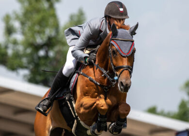 How to Make Strong Bond with Your Horse