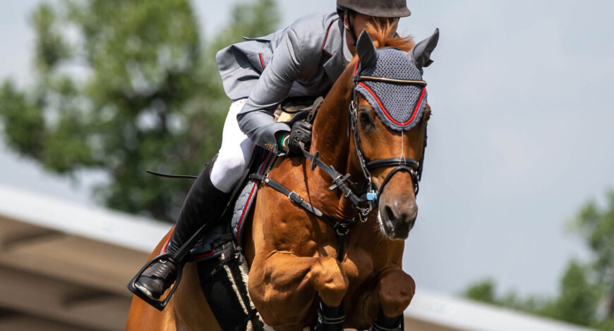 How to Make Strong Bond with Your Horse