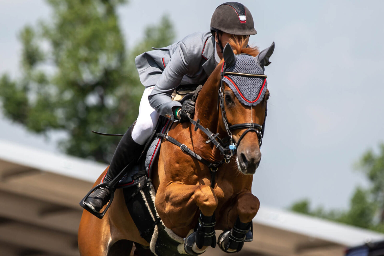 How to Make Strong Bond with Your Horse