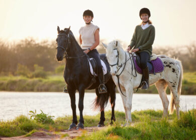 The Art of Building Trust Your Horse