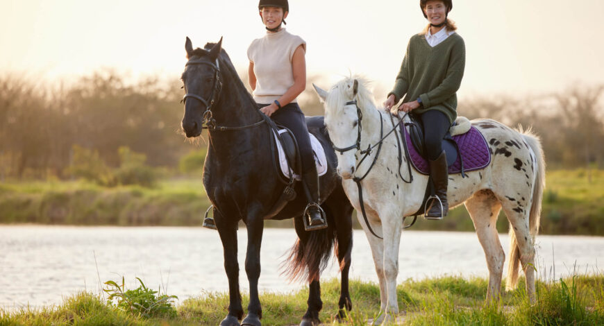 The Art of Building Trust Your Horse