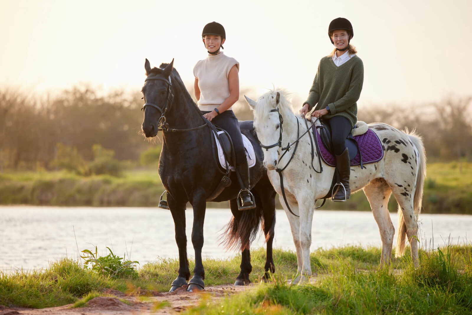 The Art of Building Trust Your Horse
