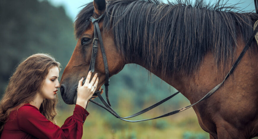 Exploring Different Horse Riding