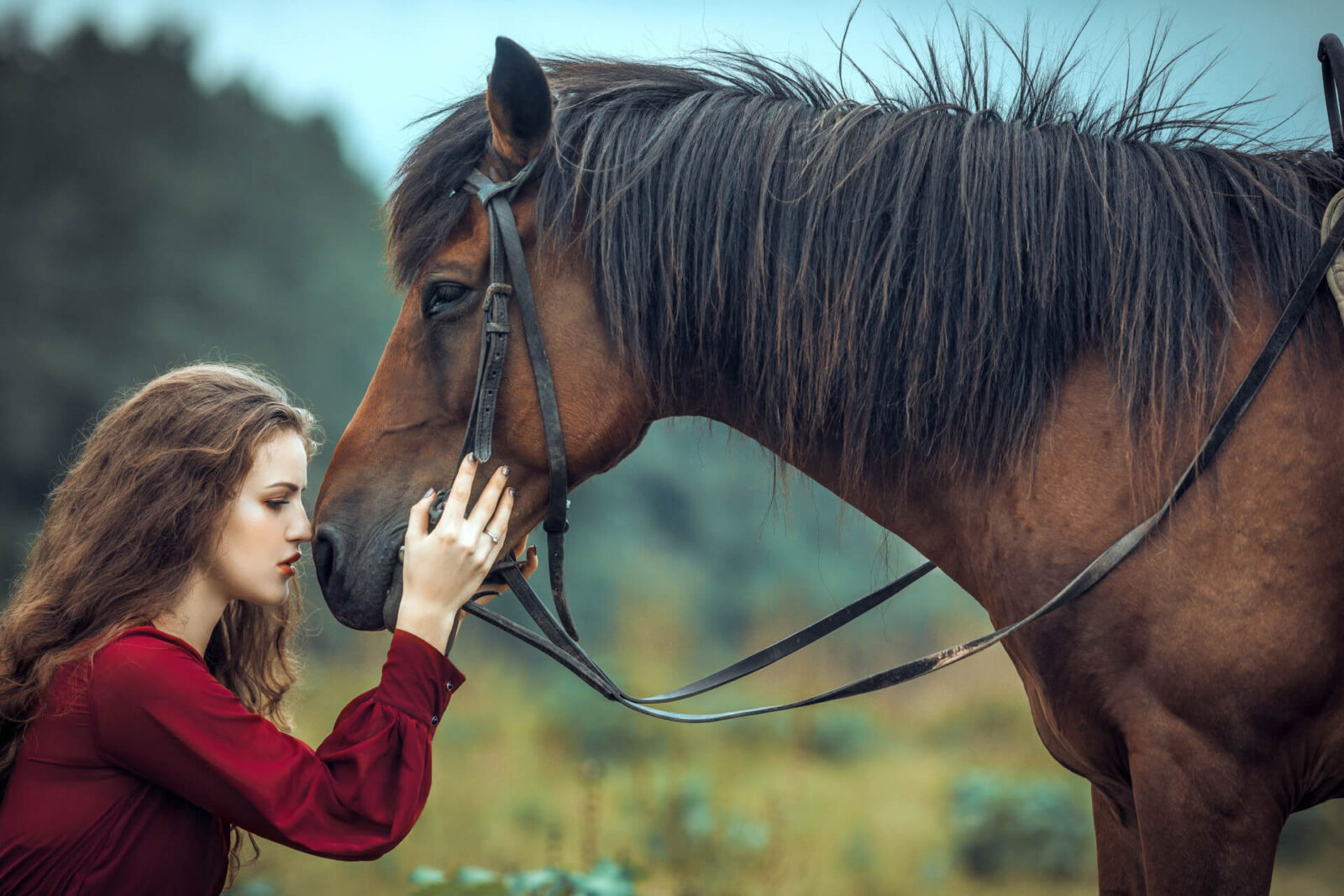 Exploring Different Horse Riding