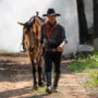 The Art of Building Trust Your Horse