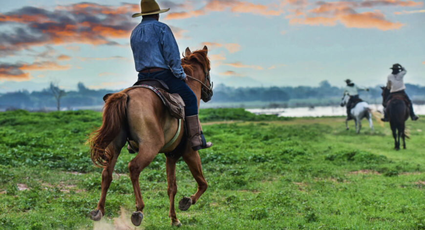 The Benefits of Regular Riding