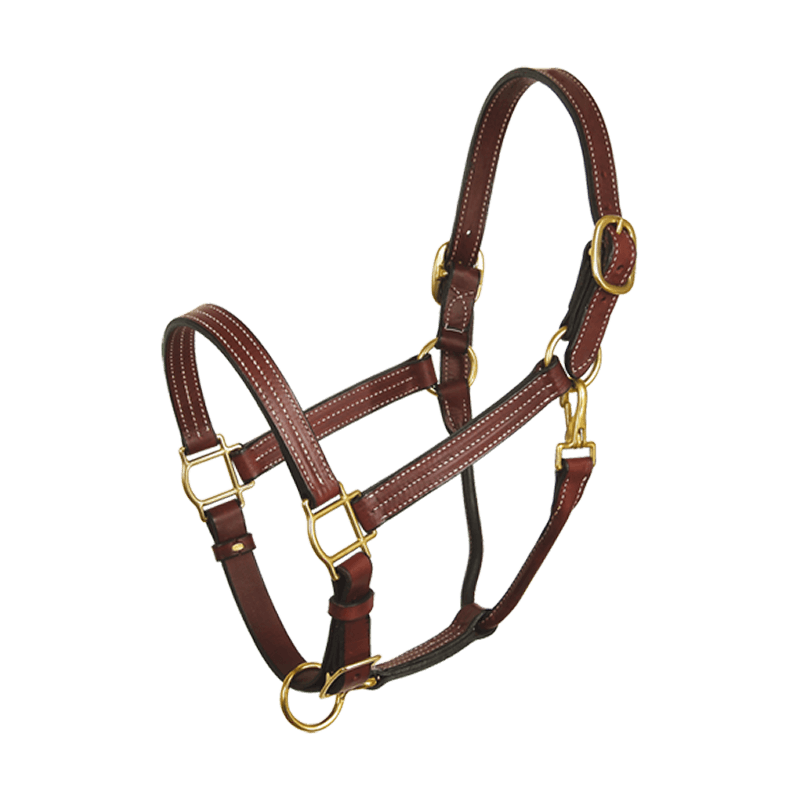 Horse Halter