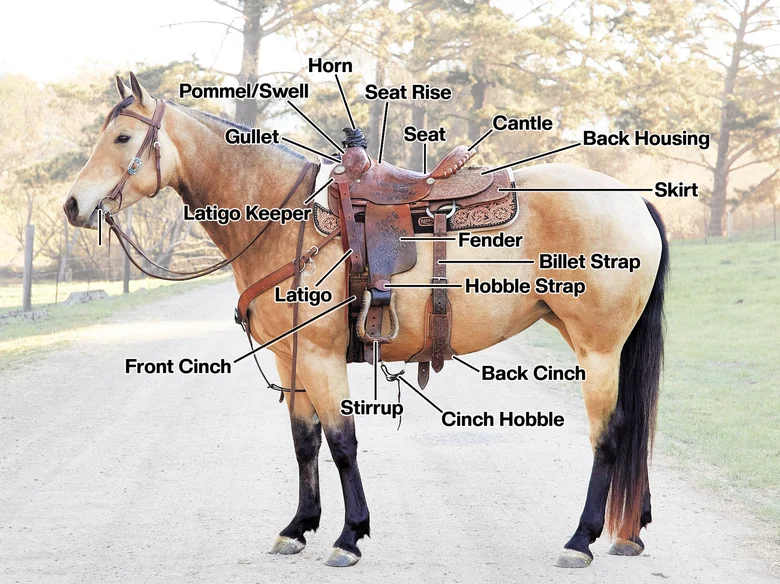 saddles for sale – English saddle for horses